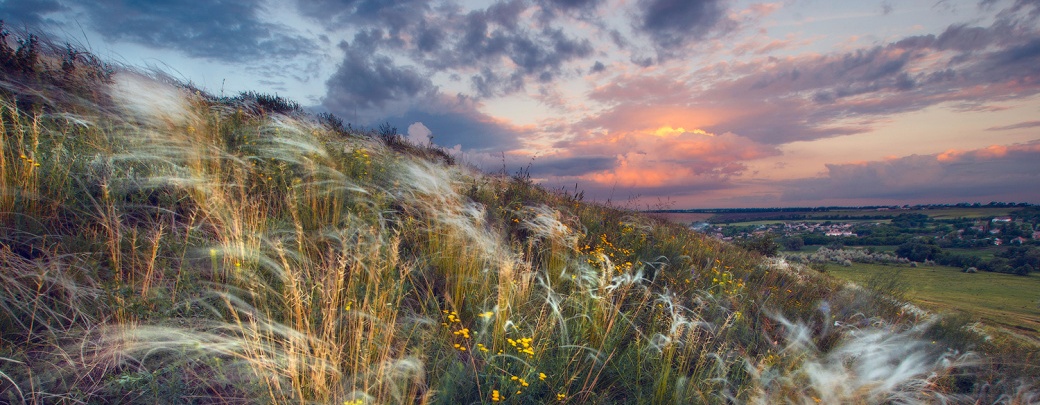 Steppes in Ukraine, photo: Bashkatov Vitalii