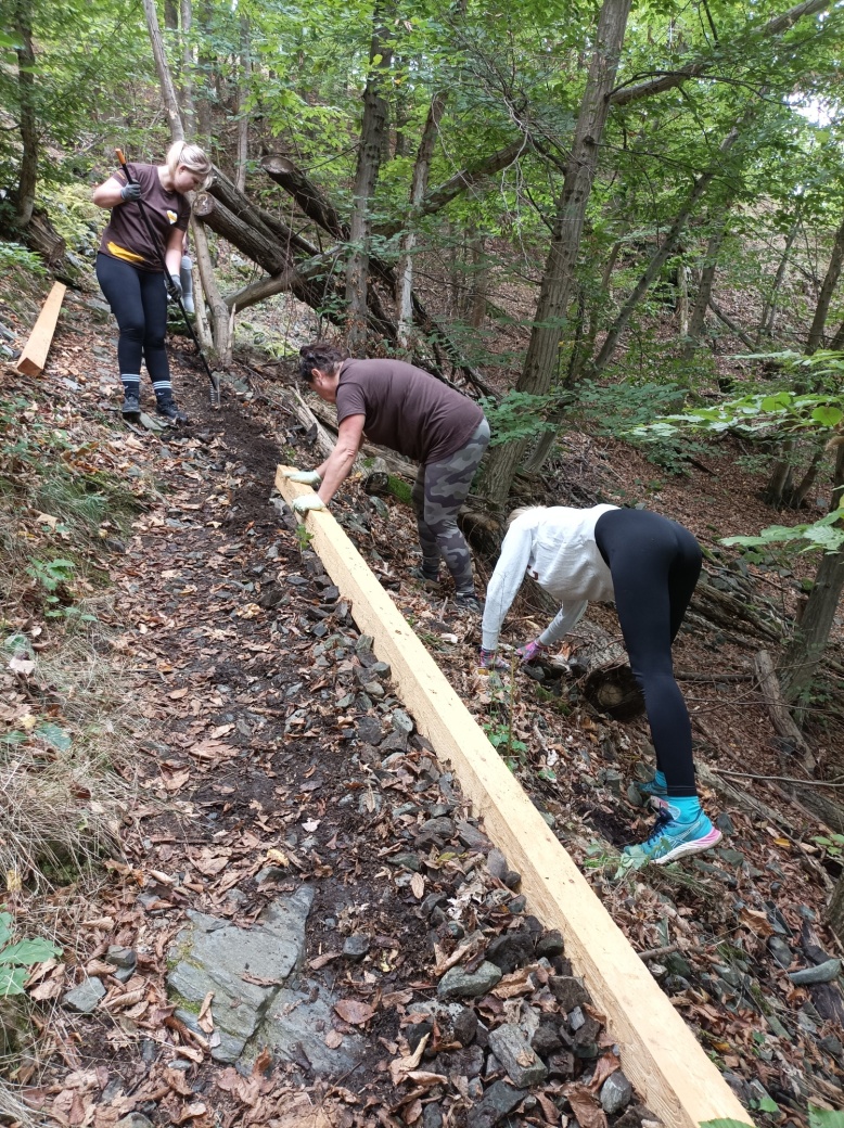 Dobrovolníci pokládají dřevěný hranol na stezku.