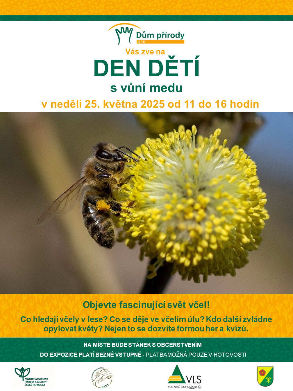 Včela obalená pylem na květu vrby jívy.