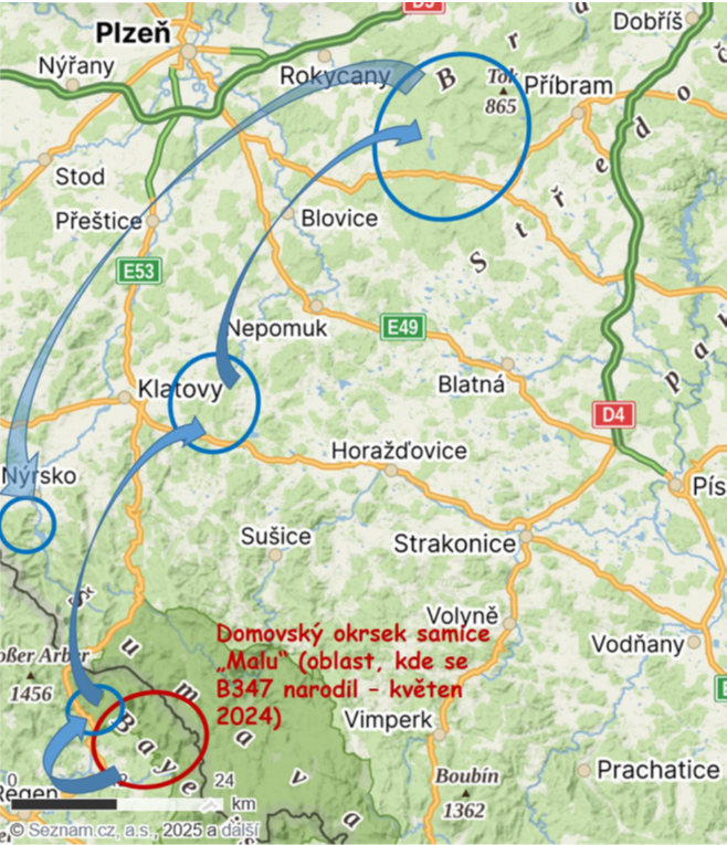 Mapka zachyceného pohybu rysa, který navštívil Brdy.