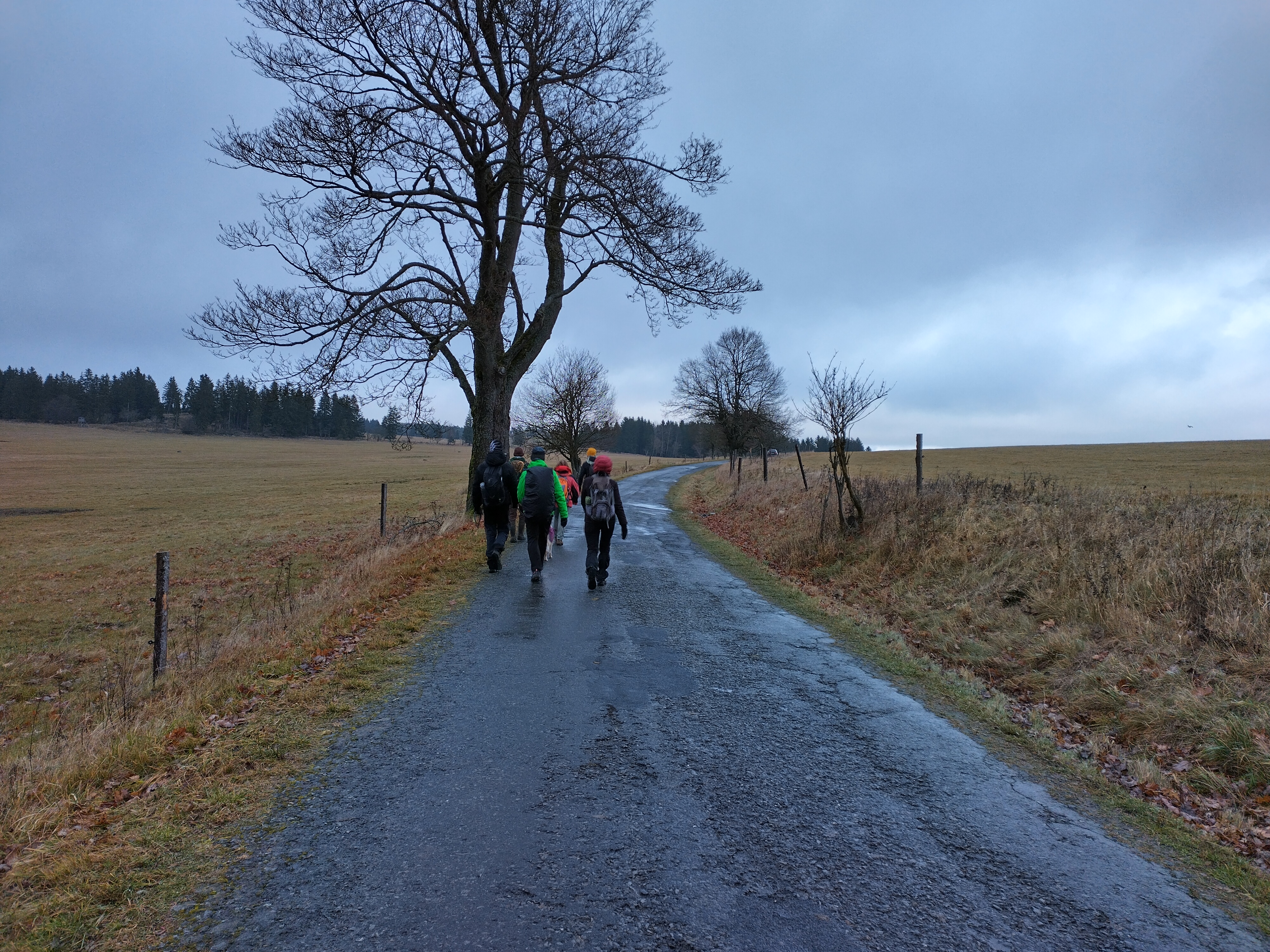 Napříč SL_2025_J.Rolková