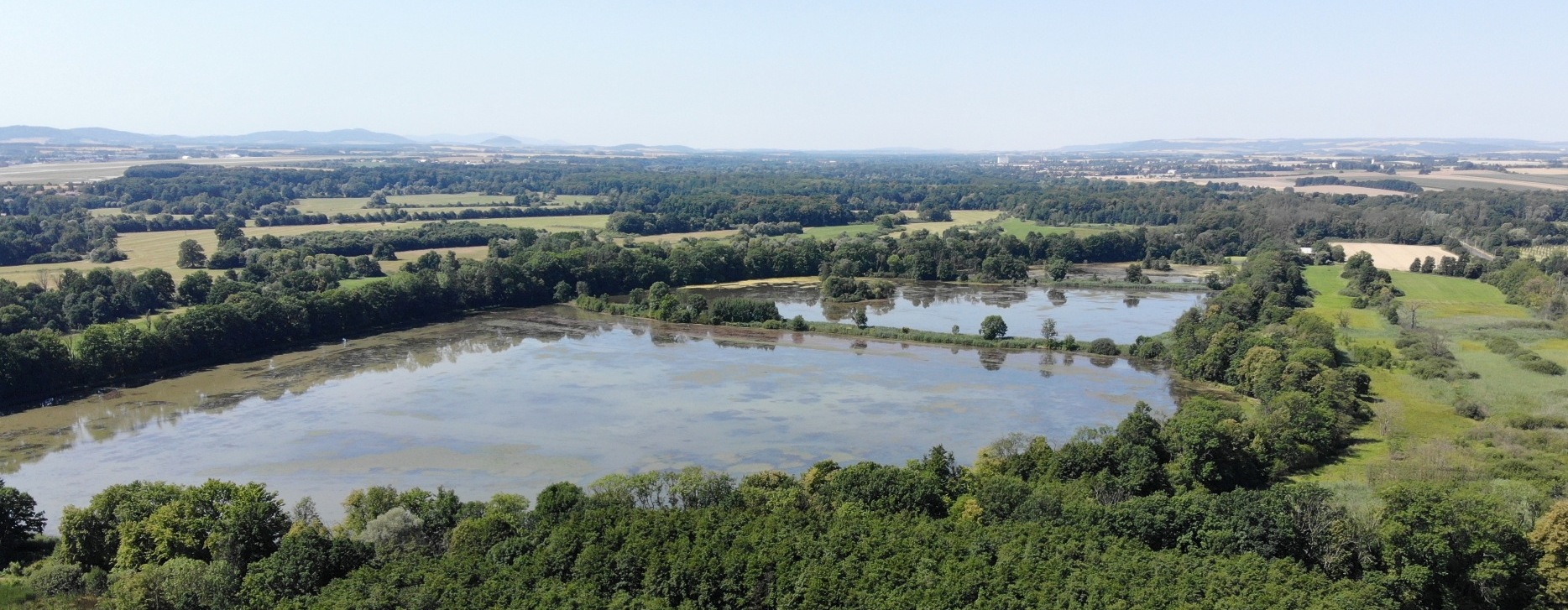 Jistebnické mokřady.